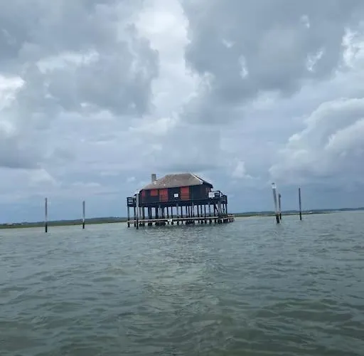 Apartment La Charmeuse A 500m De Arcachon