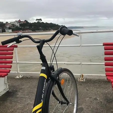 La Charmeuse A 500m De *